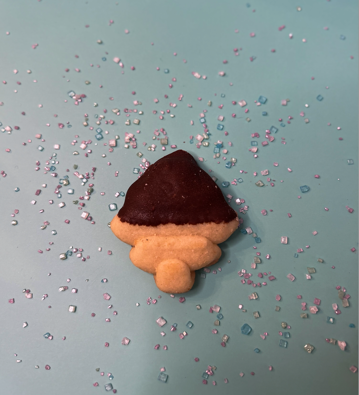 Franie’s Classic Chocolate Dipped Cookie