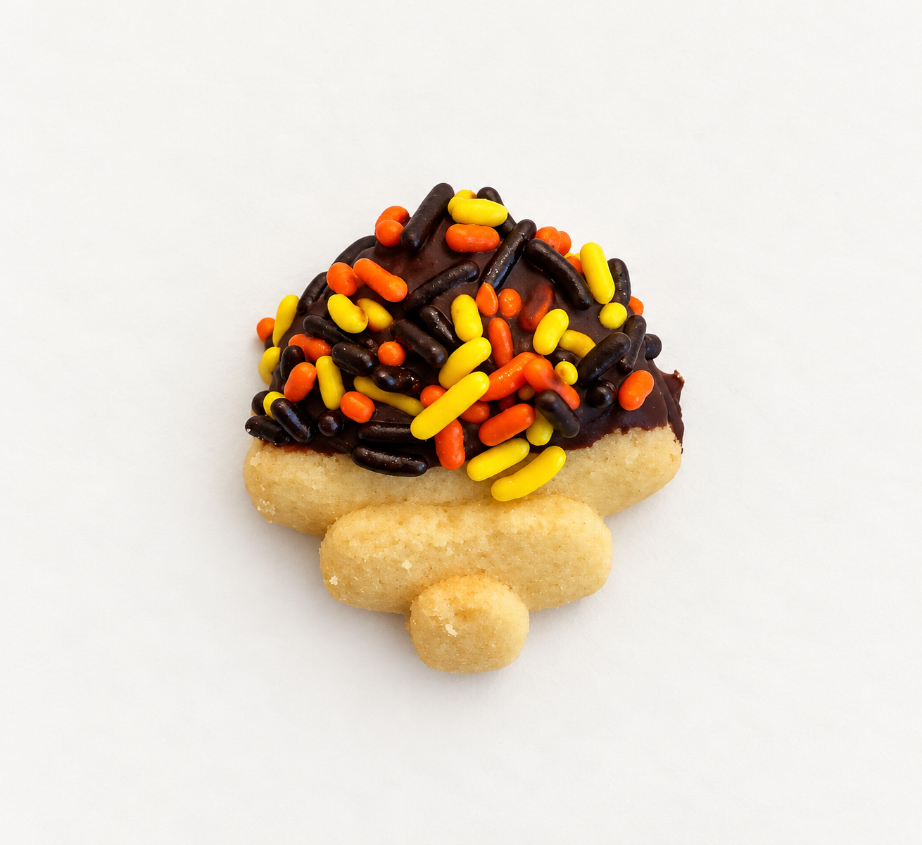 Harvest Sprinkle Cookie, original photograph
